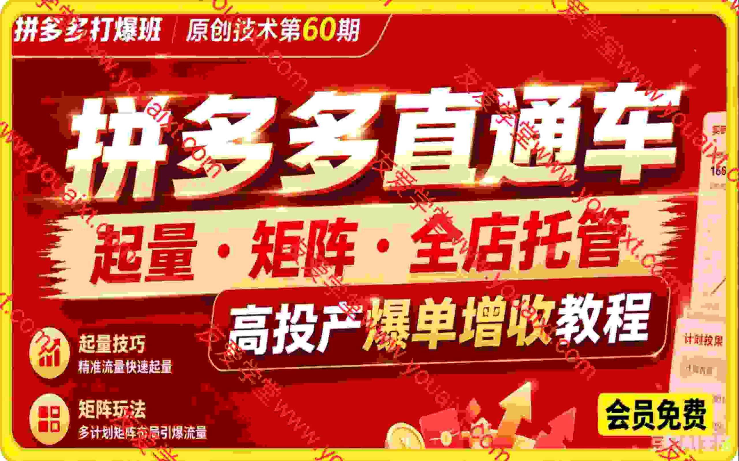 拼多多打爆班原创技术第60期，拼多多直通车，起量・矩阵・全店托管，高投产爆单增收教程