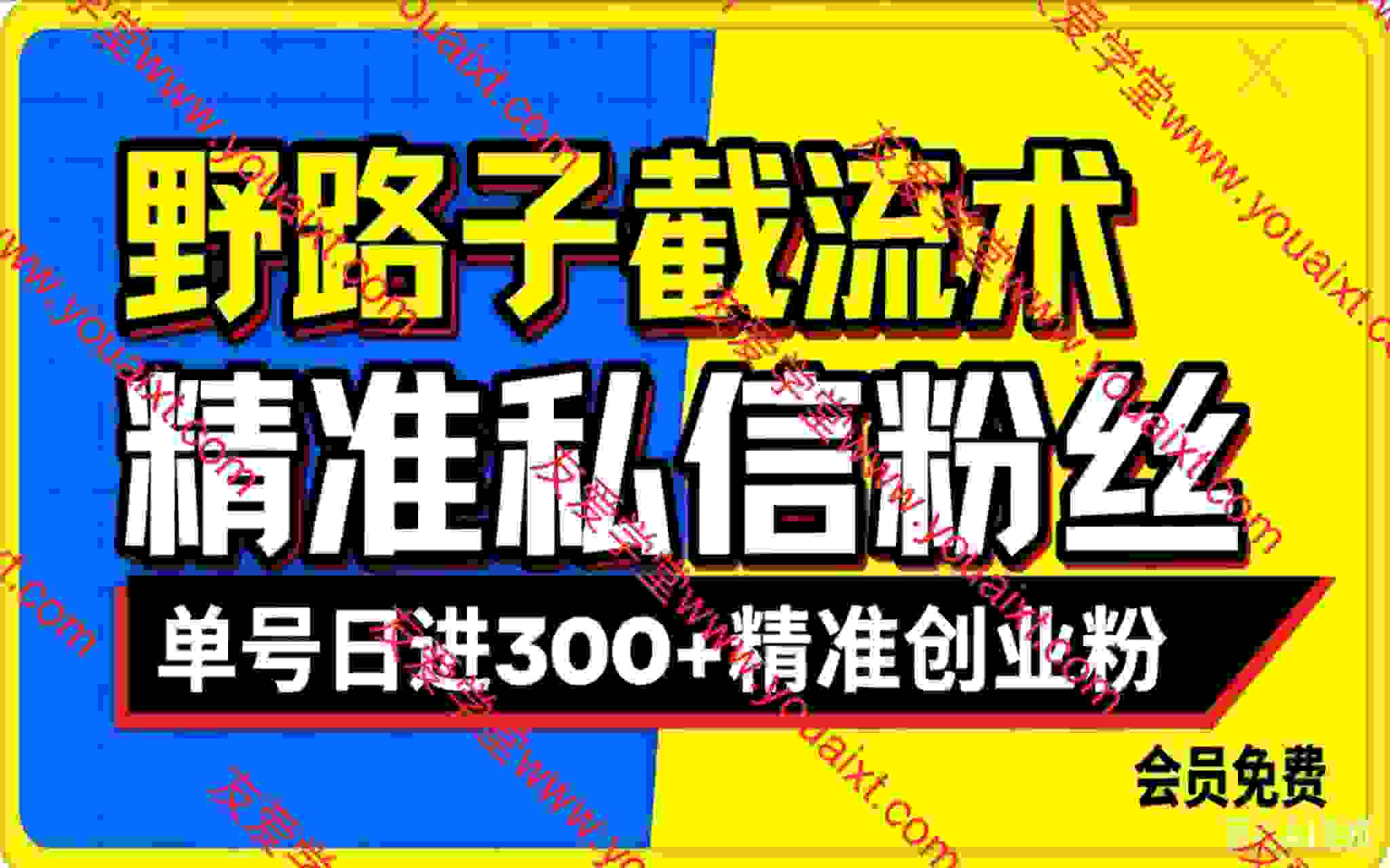 抖音评论区野路子引流技巧，精准私信引流，单日吸引300+精准创业粉